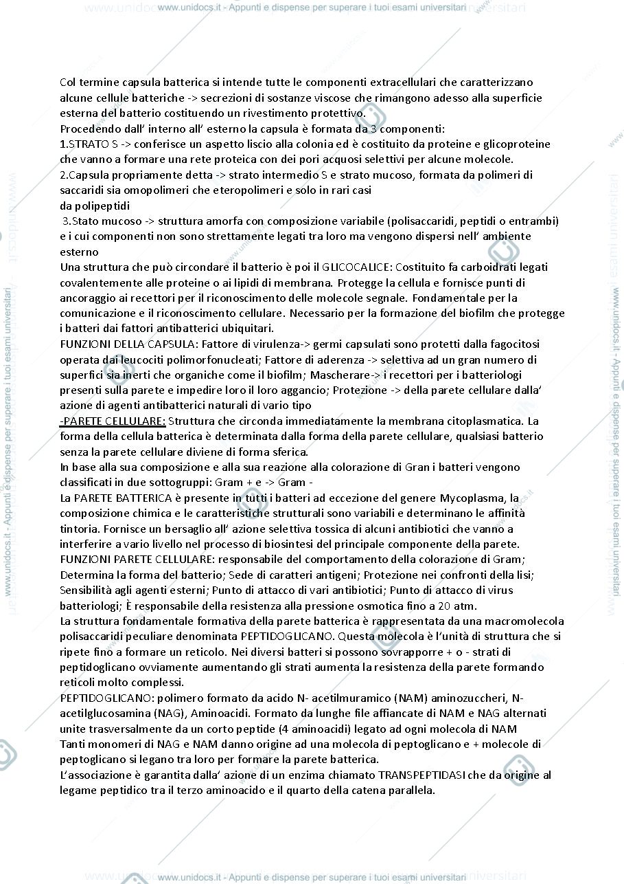 Anteprima pagina 2 — Microbiologia TAAEC