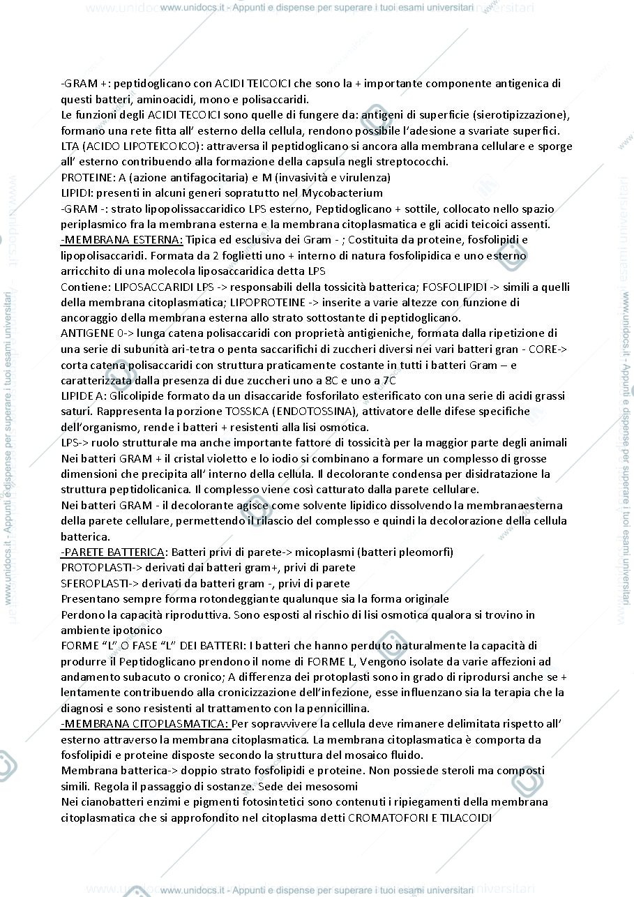 Anteprima pagina 3 — Microbiologia TAAEC