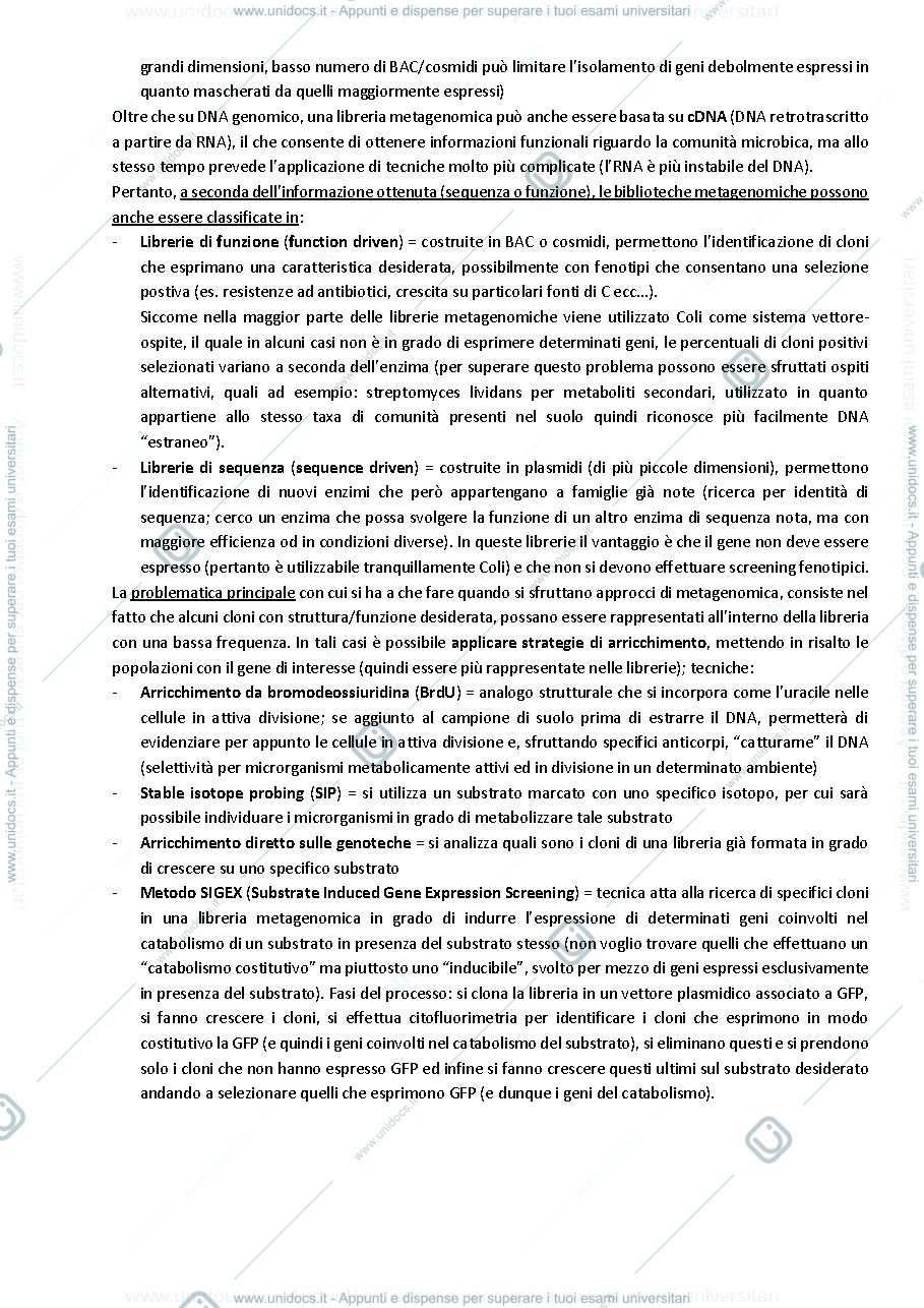 Anteprima pagina 3 — Microbiologia industriale (Uccelletti 2021)
