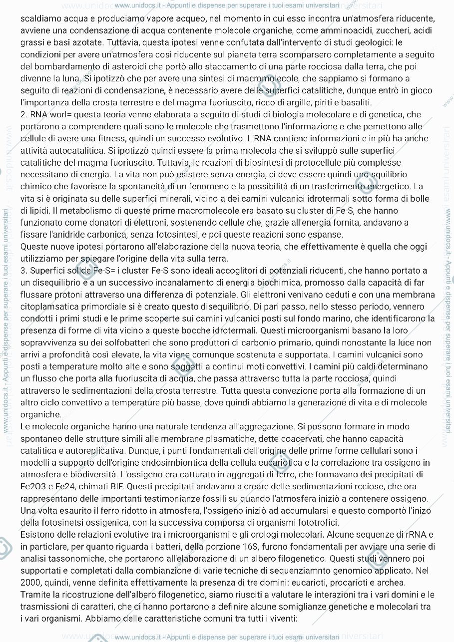Anteprima pagina 3 — RIASSUNTI MICROBIOLOGIA INDUSTRIALE 