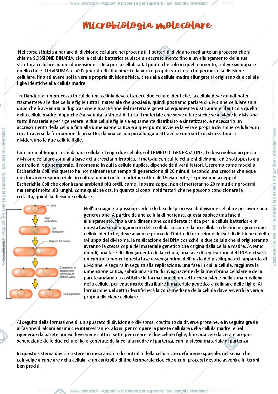 Anteprima pagina 1 — APPUNTI FINO A LEZIONE 10 DI MICROBIOLOGIA MOLECOLARE