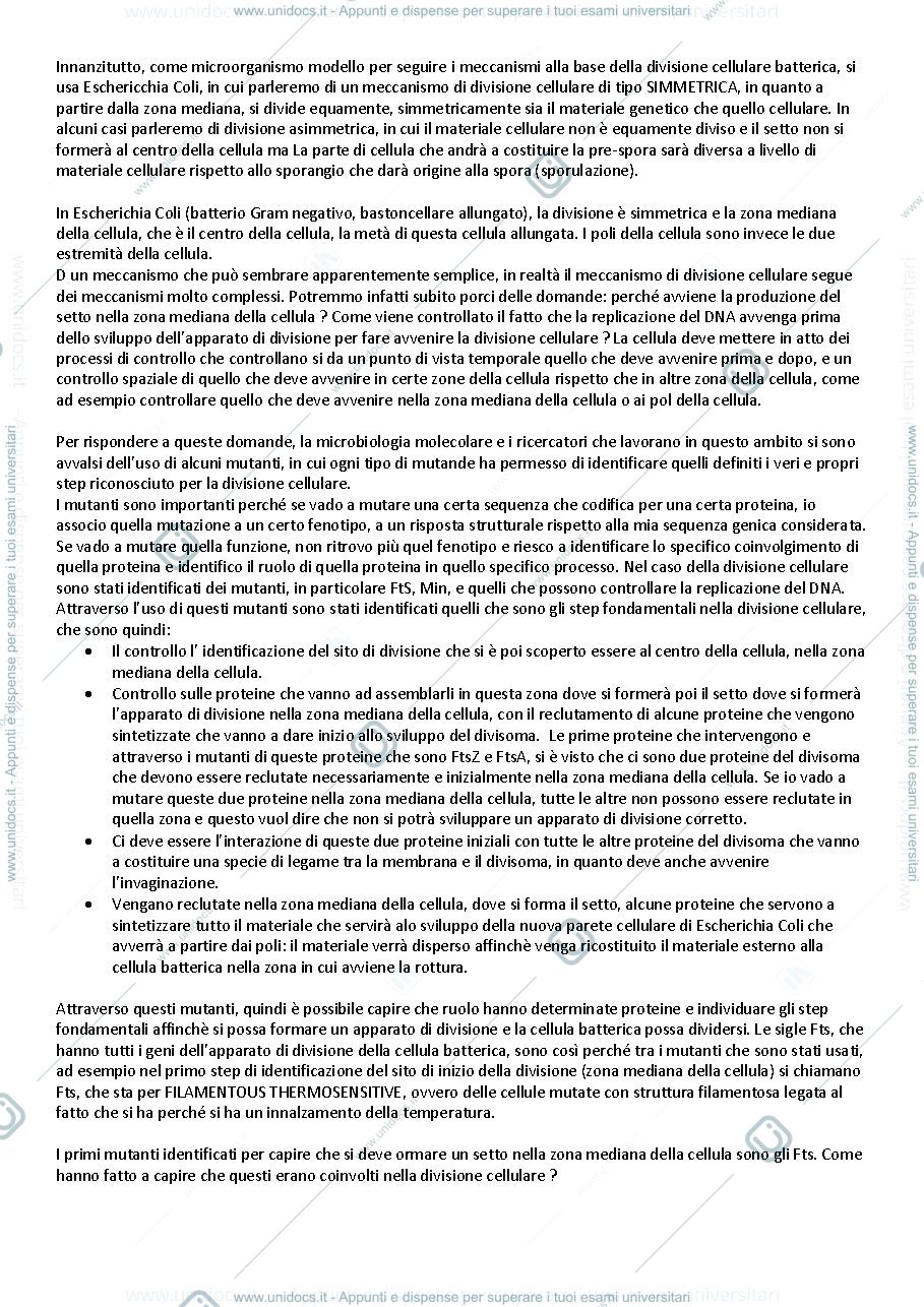 Anteprima pagina 2 — APPUNTI FINO A LEZIONE 10 DI MICROBIOLOGIA MOLECOLARE