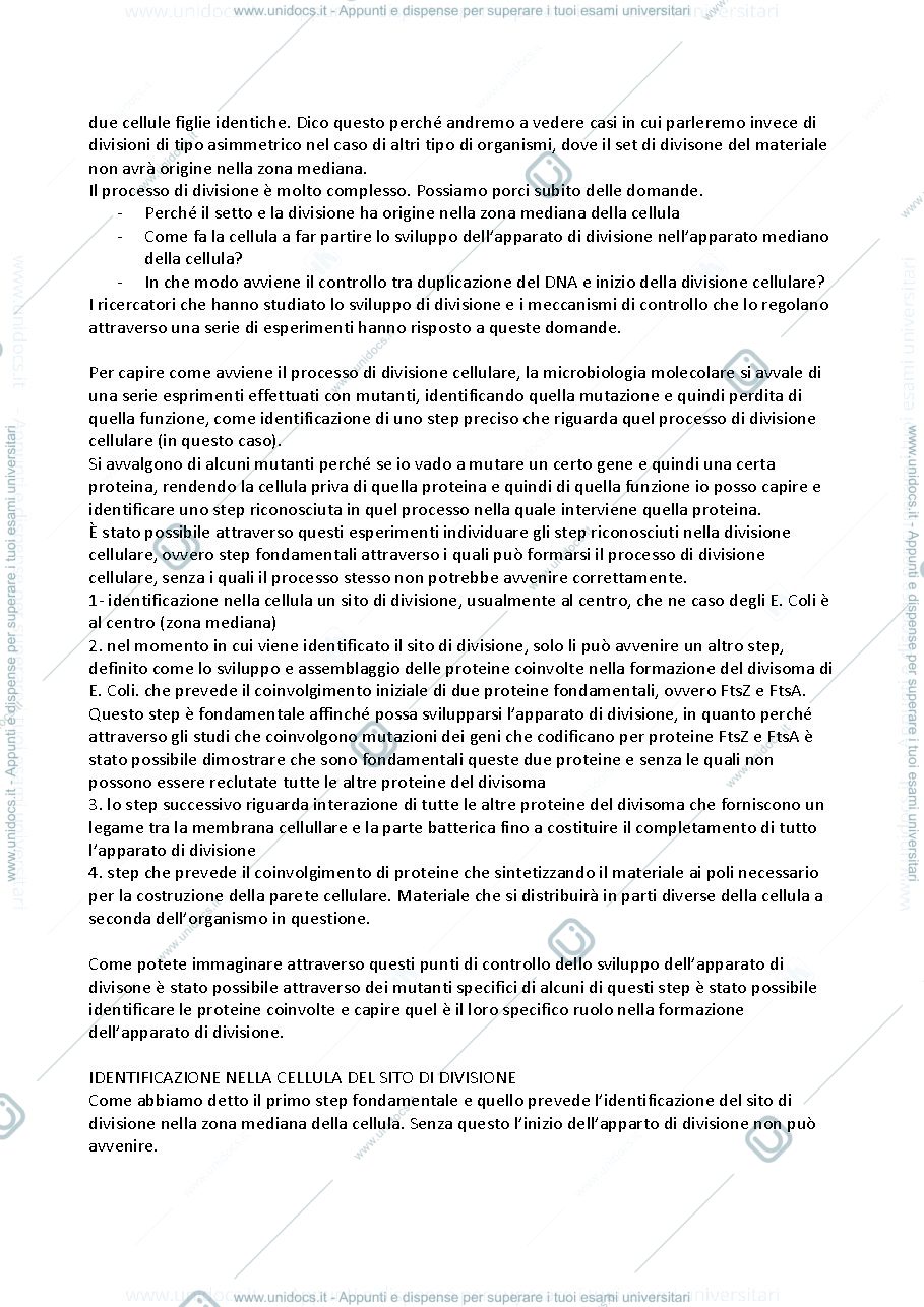 Anteprima pagina 3 — Microbiologia molecolare