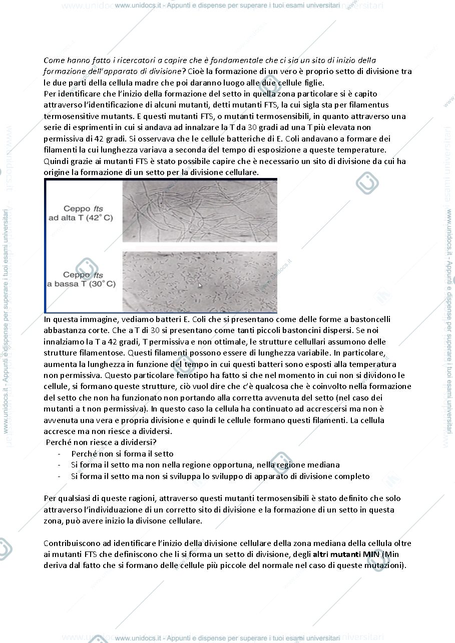 Anteprima pagina 4 — Microbiologia molecolare