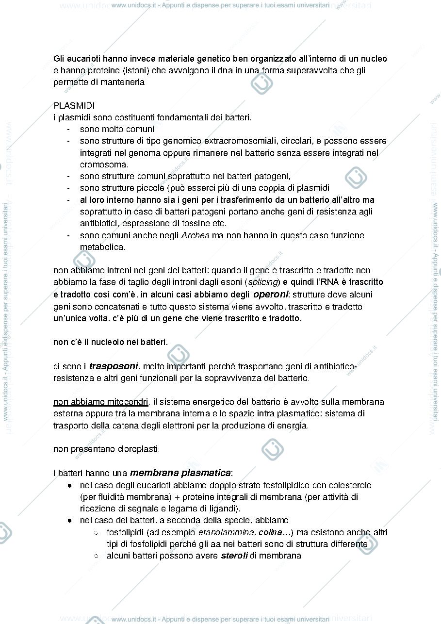 Anteprima pagina 2 — APPUNTI DI BASI MOLECOLARI DELLA PATOGENICITA' MICROBICA
