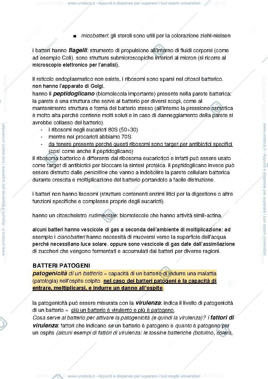 Anteprima pagina 3 — APPUNTI DI BASI MOLECOLARI DELLA PATOGENICITA' MICROBICA