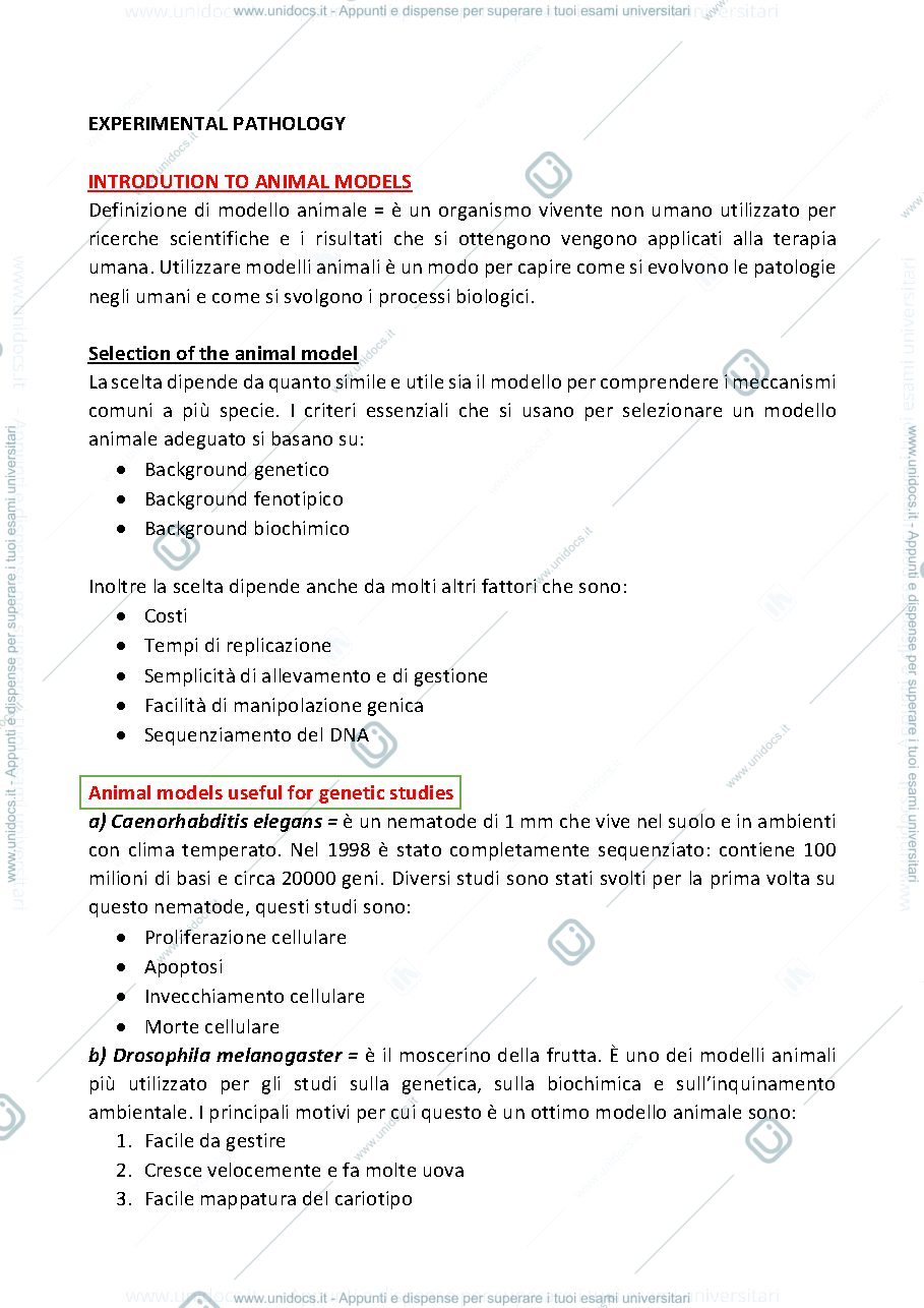 Anteprima pagina 1 — APPUNTI DI EXPERIMENTL PATHOLOGY