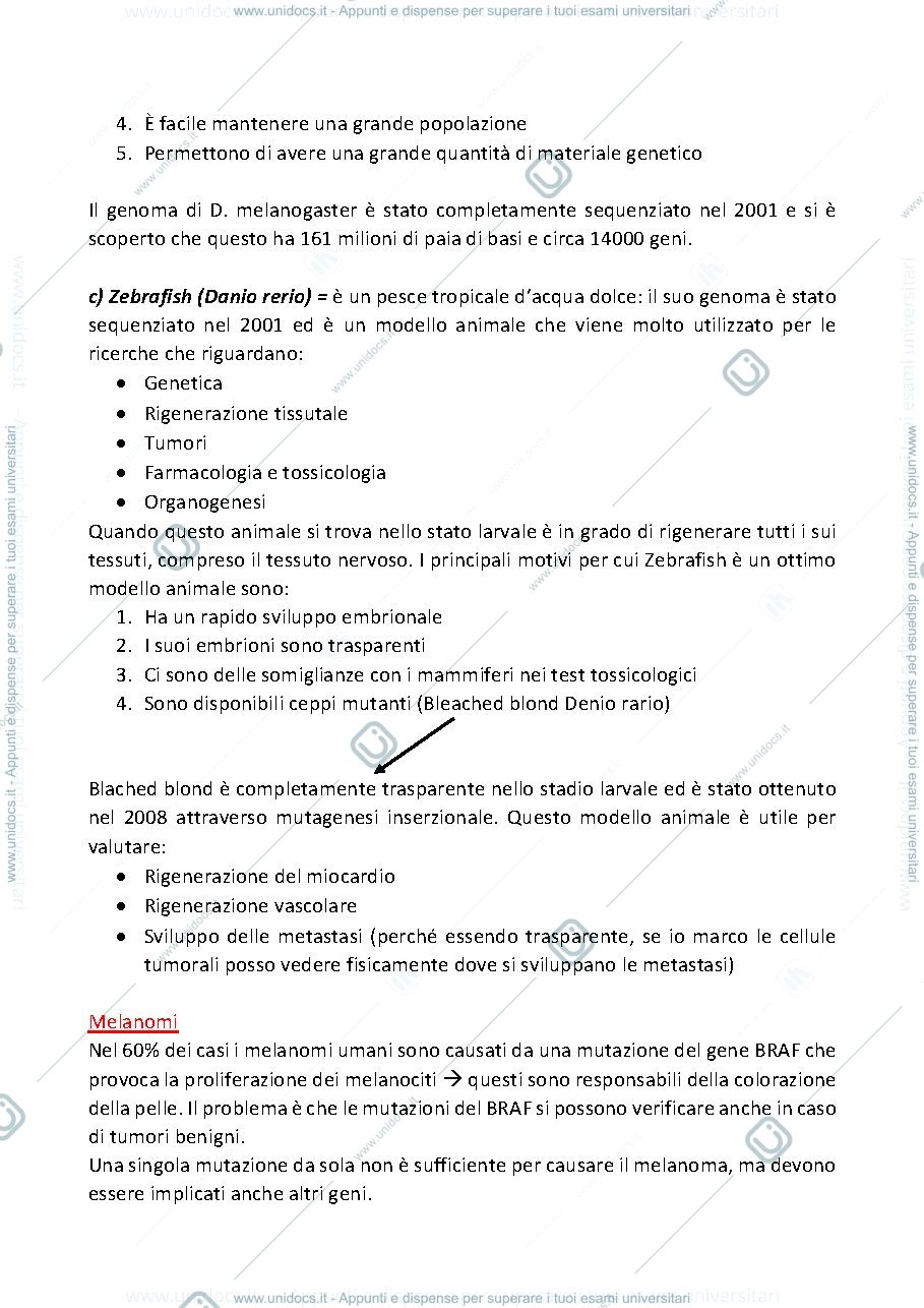 Anteprima pagina 2 — APPUNTI DI EXPERIMENTL PATHOLOGY
