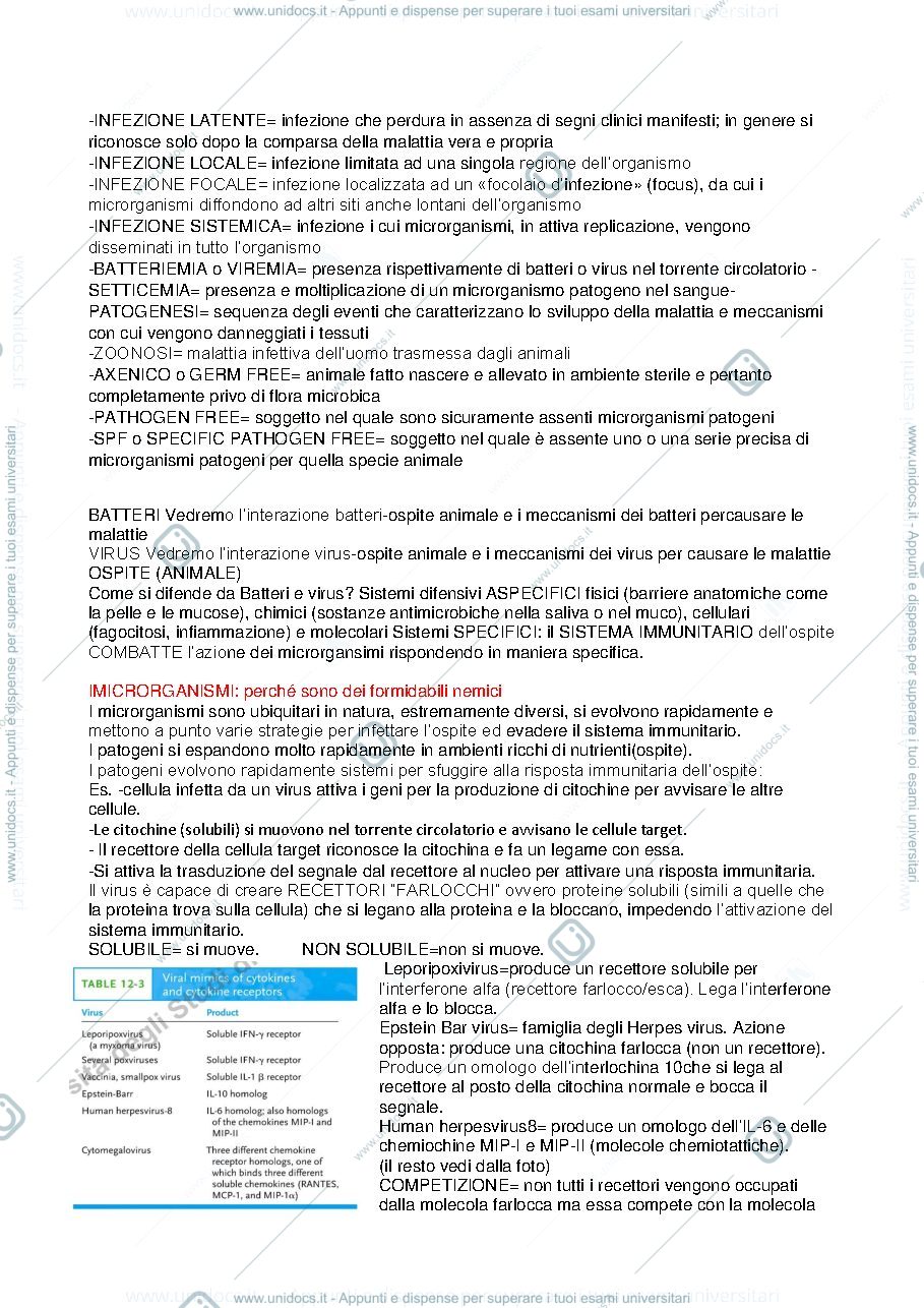 Anteprima pagina 3 — APPUNTI DI ASPETTI MOLECOLARI DI INTERAZIONE MICRORGANISMO-OSPITE
