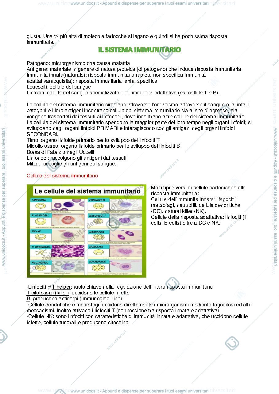 Anteprima pagina 4 — APPUNTI DI ASPETTI MOLECOLARI DI INTERAZIONE MICRORGANISMO-OSPITE