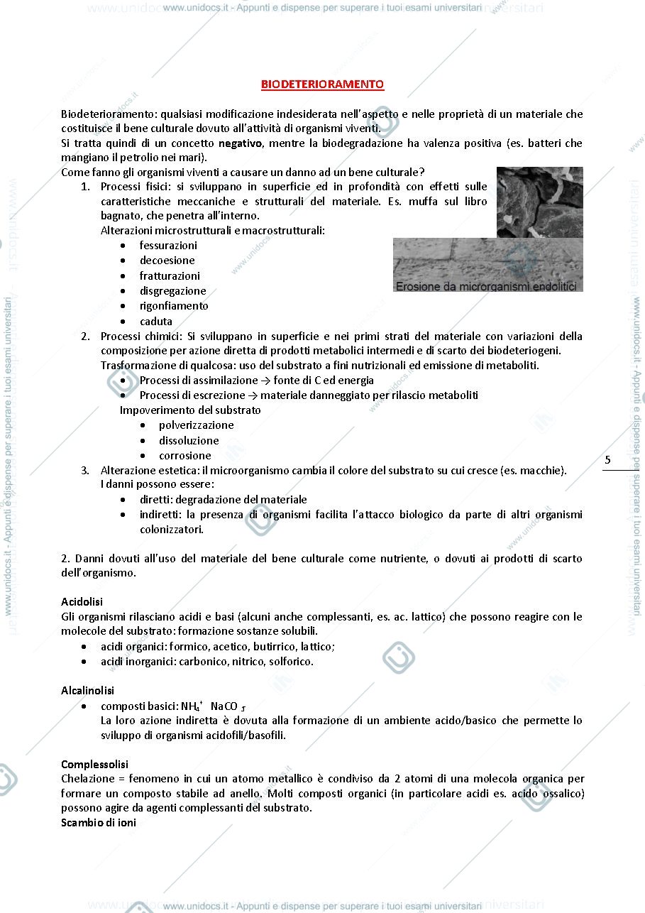 Anteprima pagina 5 — Dispensa