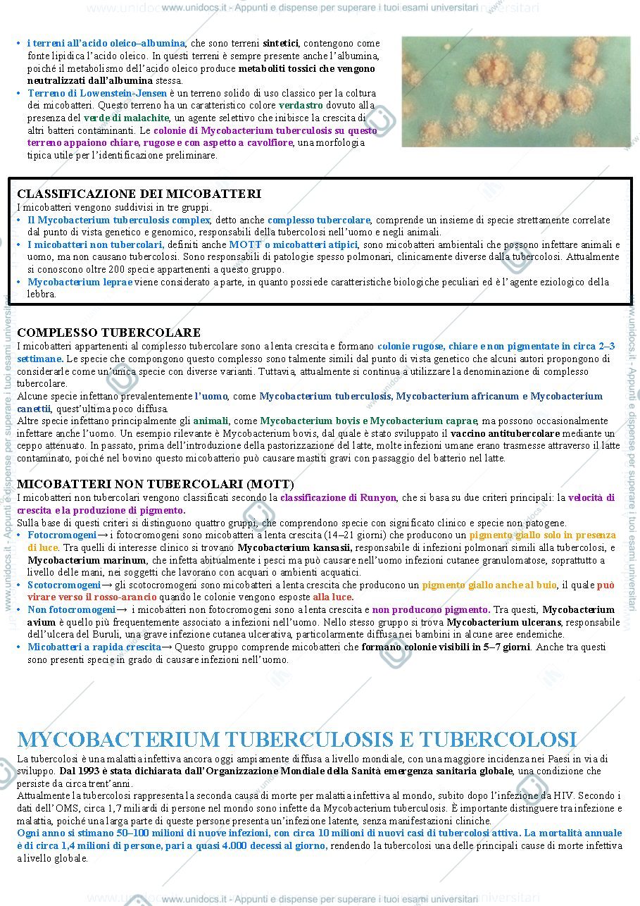 Anteprima pagina 2 — micobatteri
