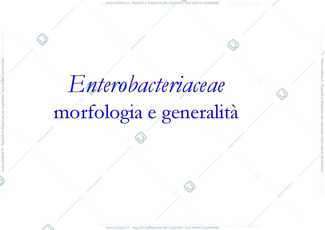 Anteprima pagina 1 — enterobatteri