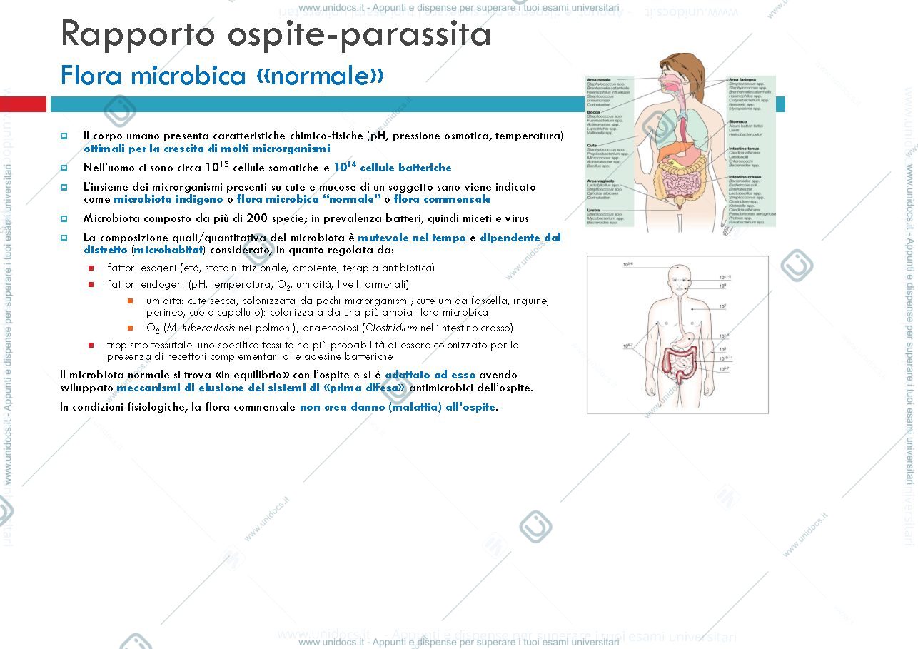 Anteprima pagina 3 — patogenesi microbica