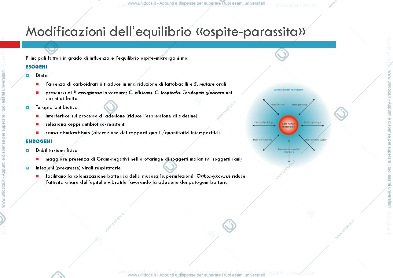 Anteprima pagina 4 — patogenesi microbica