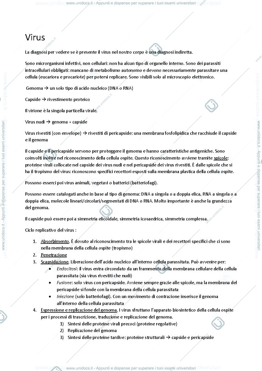 Anteprima pagina 1 — Virus