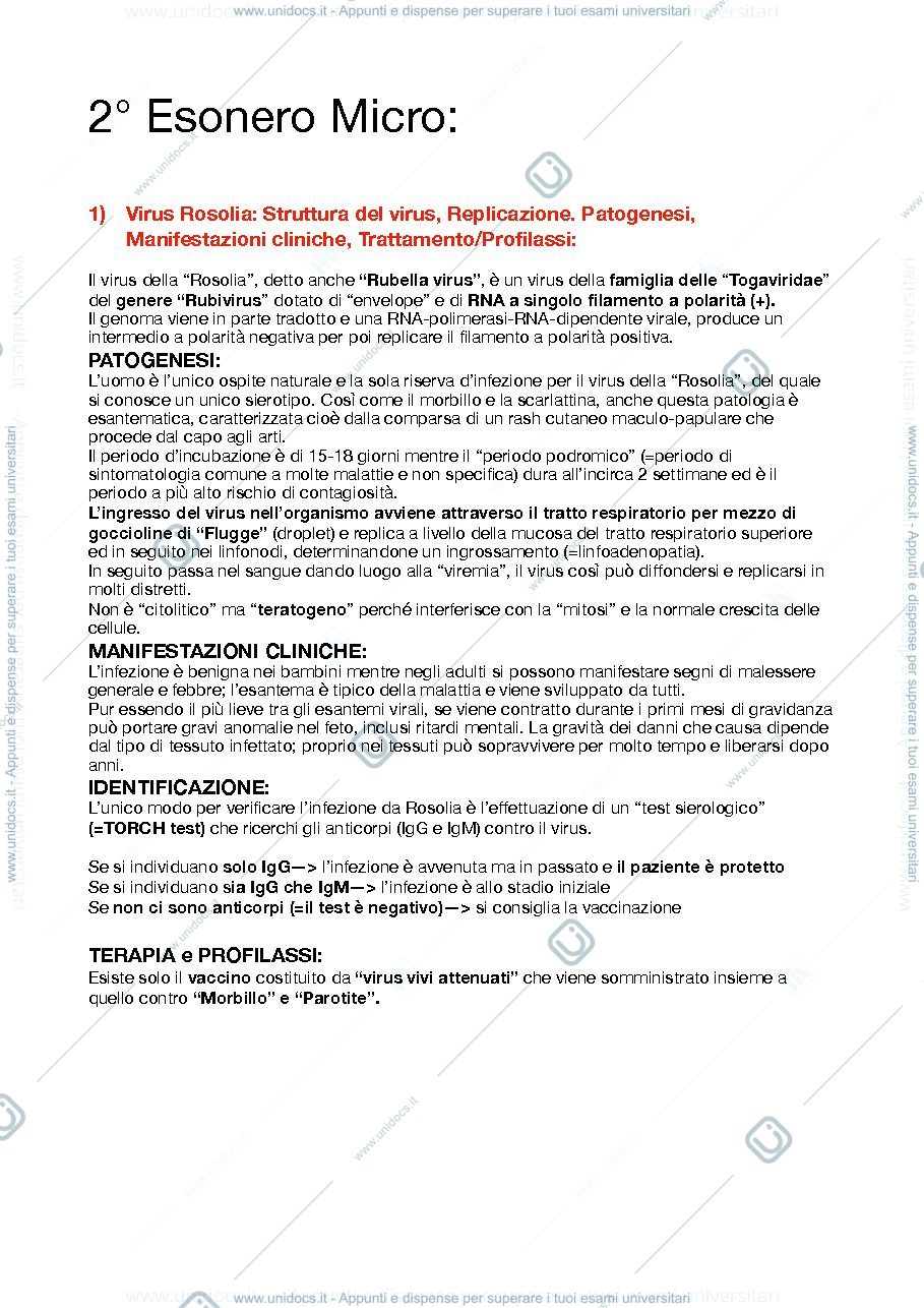 Anteprima pagina 1 — Domande 2° esonero di microbiologia (Virus)
