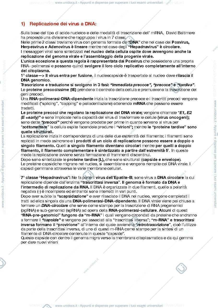 Anteprima pagina 2 — Domande 2° esonero di microbiologia (Virus)