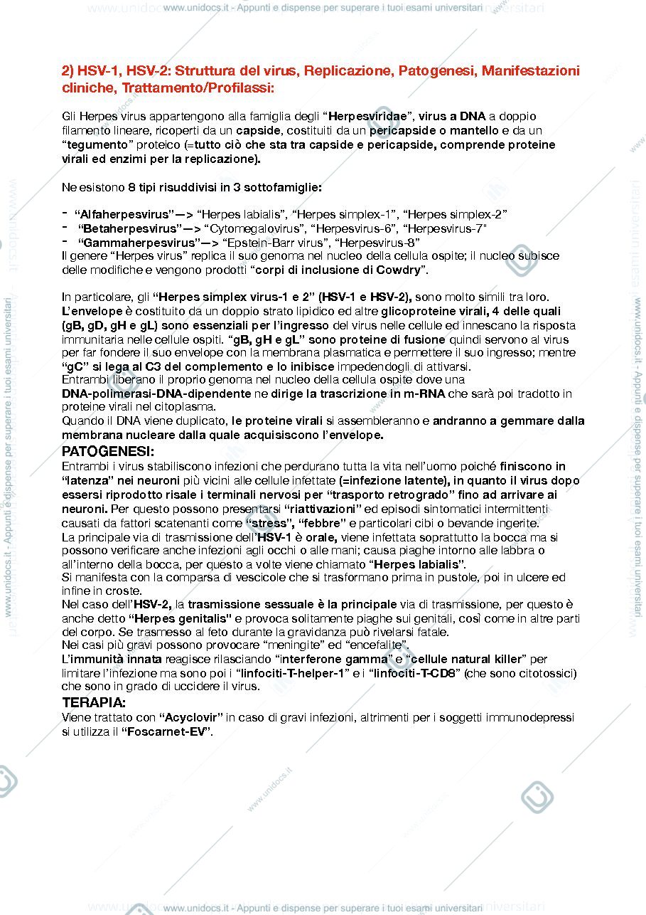 Anteprima pagina 3 — Domande 2° esonero di microbiologia (Virus)