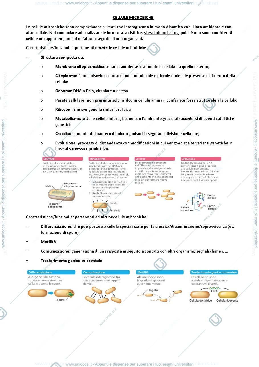 Anteprima pagina 1 — Le cellule microbiche