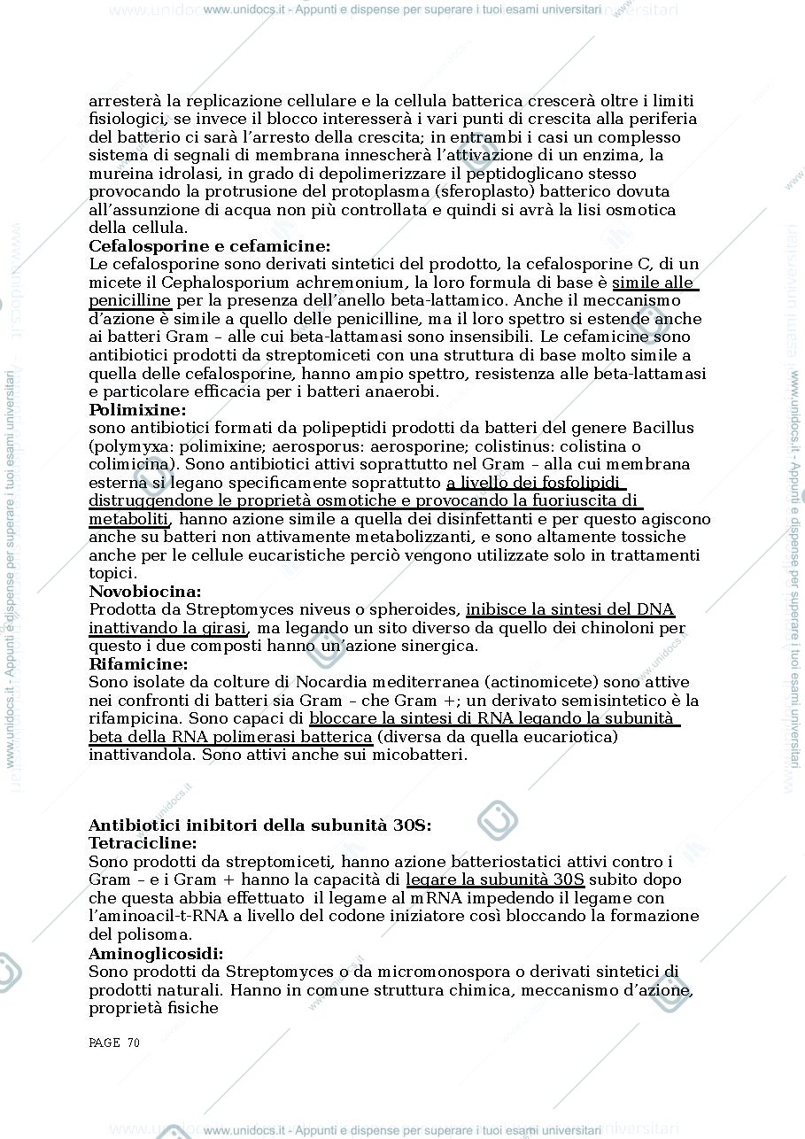 Anteprima pagina 4 — microbiologia