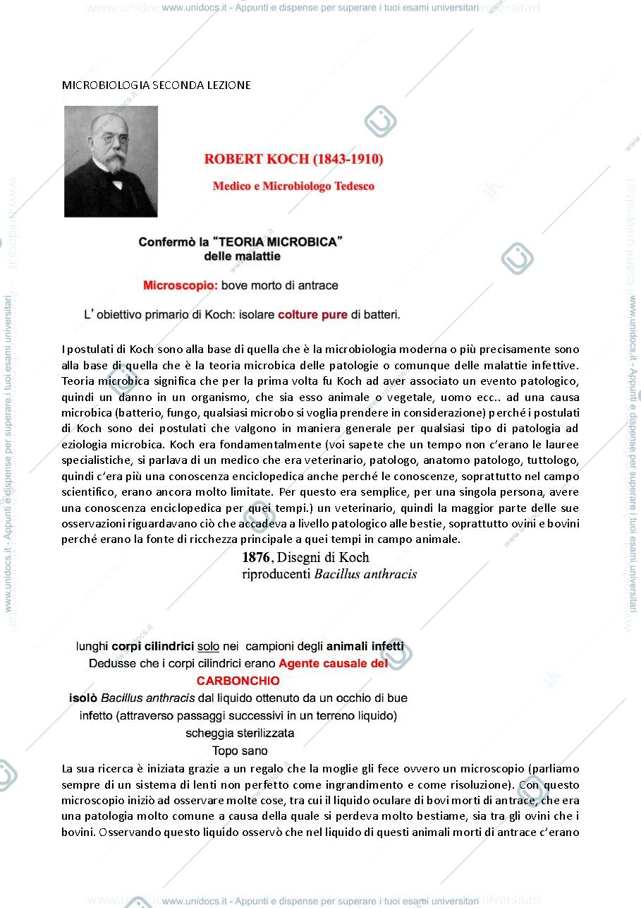 Anteprima pagina 1 — appunti lezione