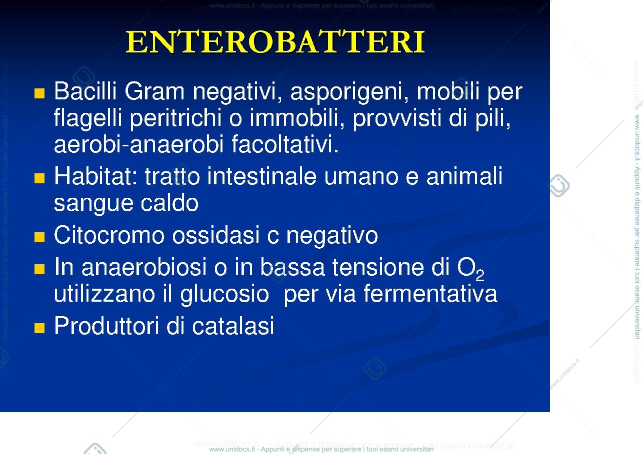 Anteprima pagina 2 — batteriologia 3