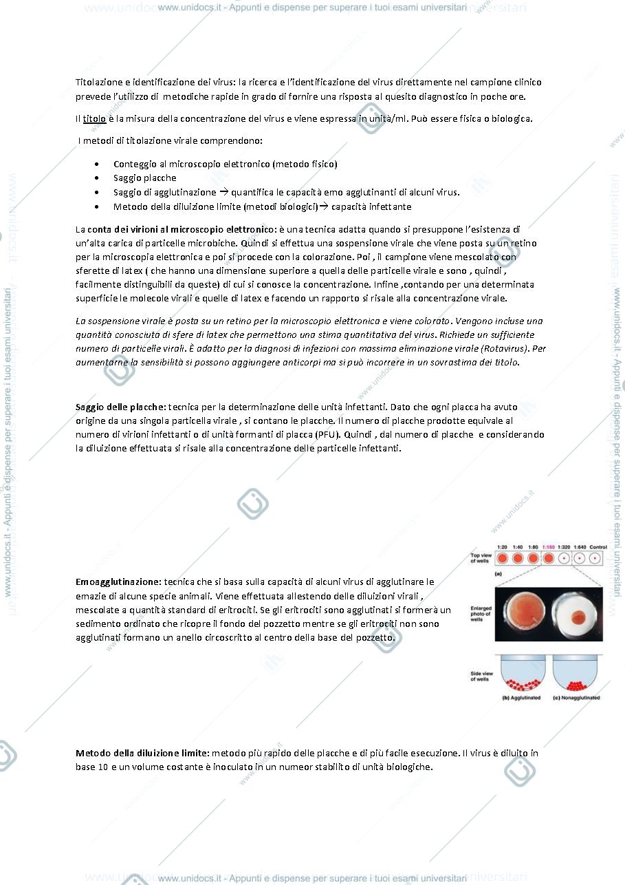 Anteprima pagina 1 — titolazione e identificazione dei virus