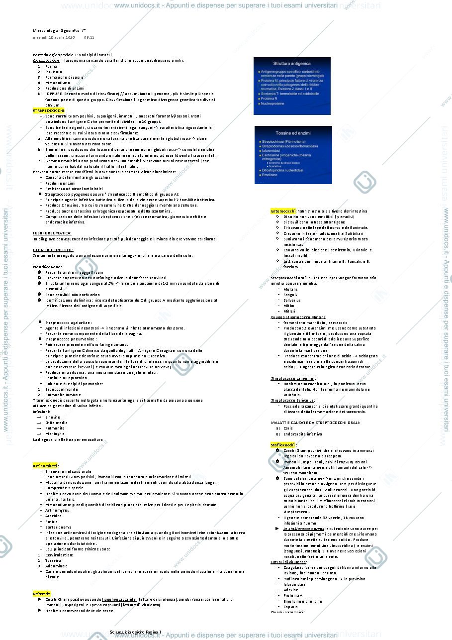 Anteprima pagina 1 — batteriologia