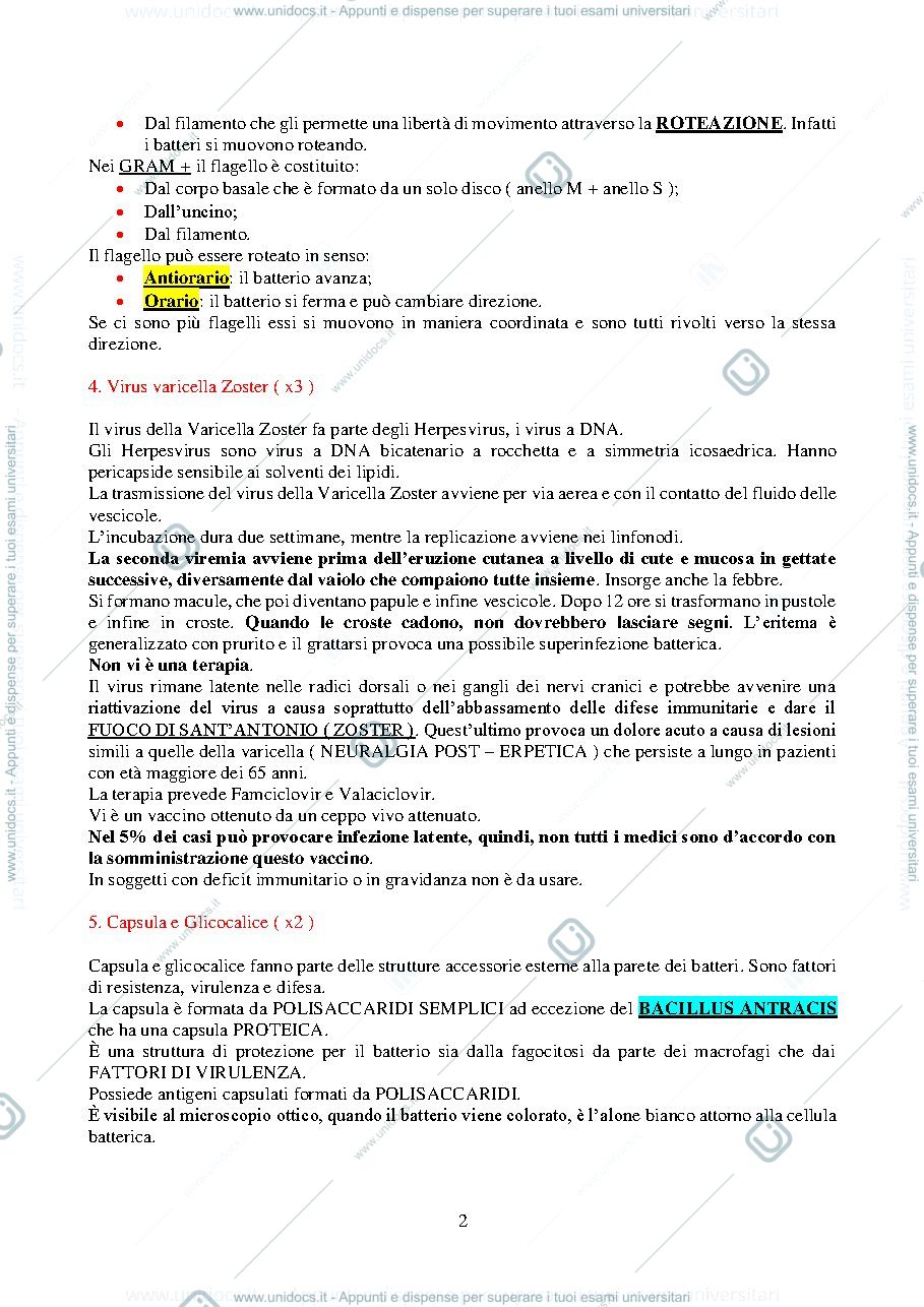 Anteprima pagina 2 — Microbiologia
