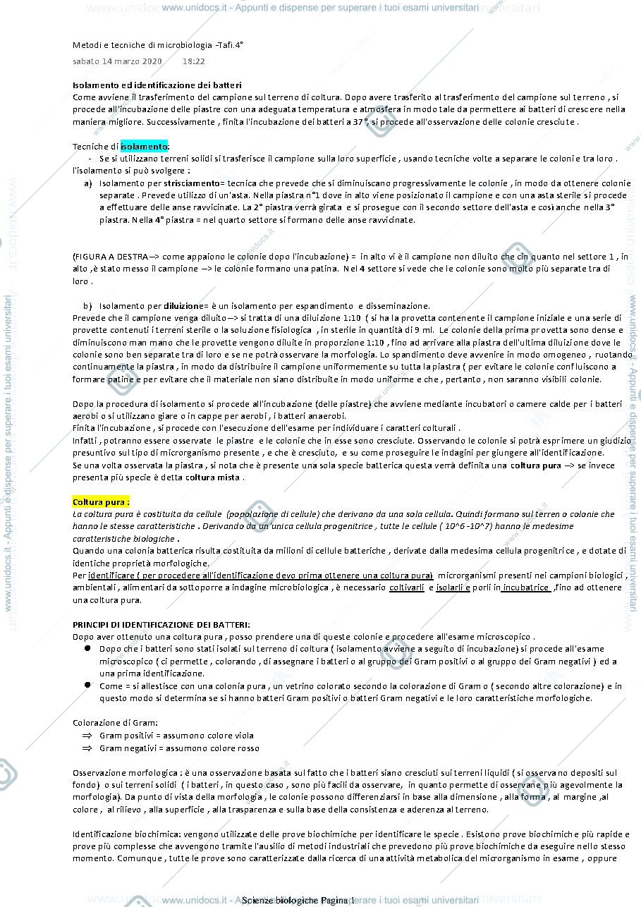Anteprima pagina 1 — Isolamento ed identificazione dei batteri