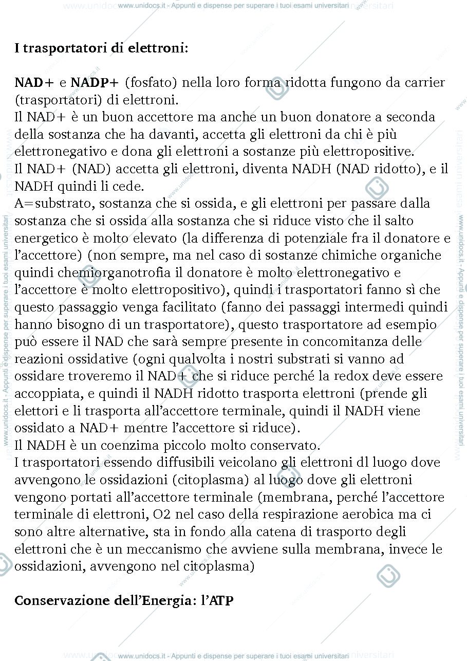 Anteprima pagina 1 — Microbiologia