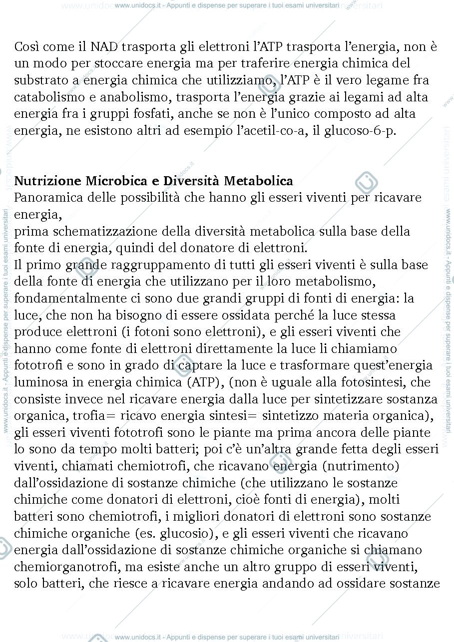 Anteprima pagina 2 — Microbiologia