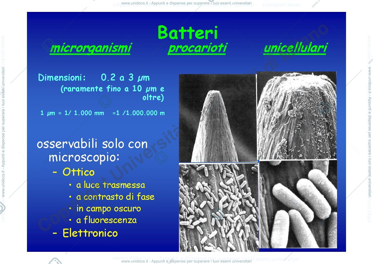 Anteprima pagina 1 — LEZIONE 2 - microbiologia