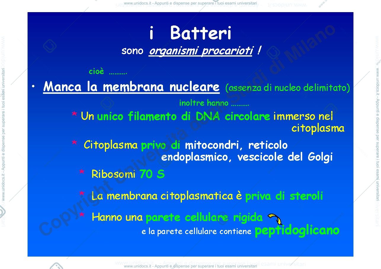 Anteprima pagina 2 — LEZIONE 2 - microbiologia