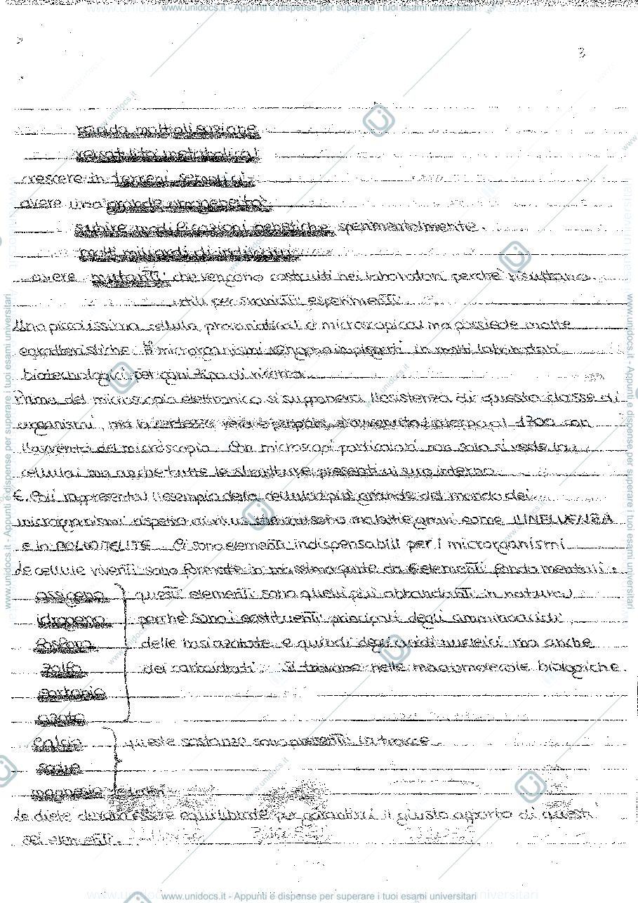 Anteprima pagina 3 — microbiologia 