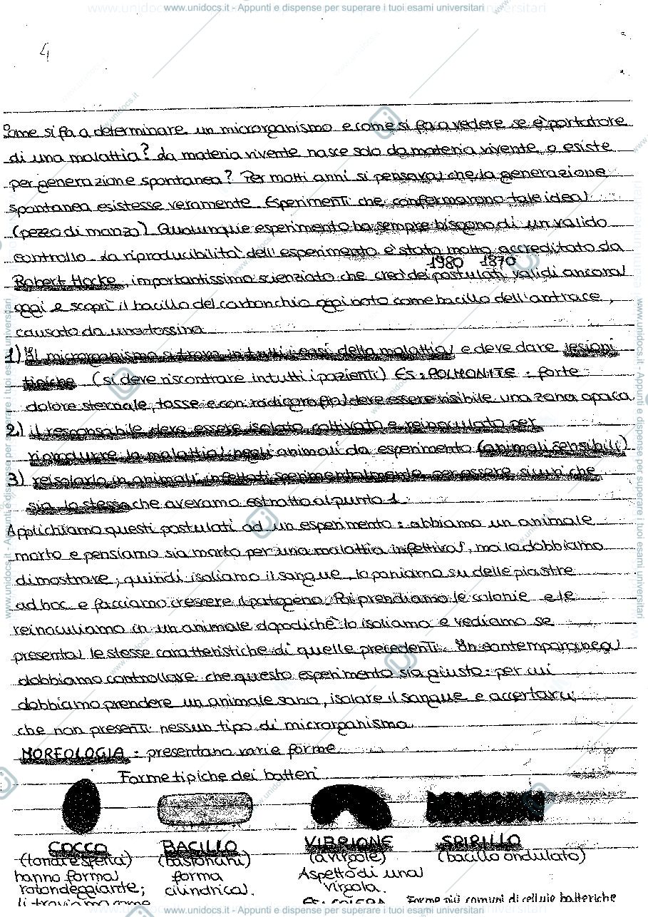 Anteprima pagina 4 — microbiologia 