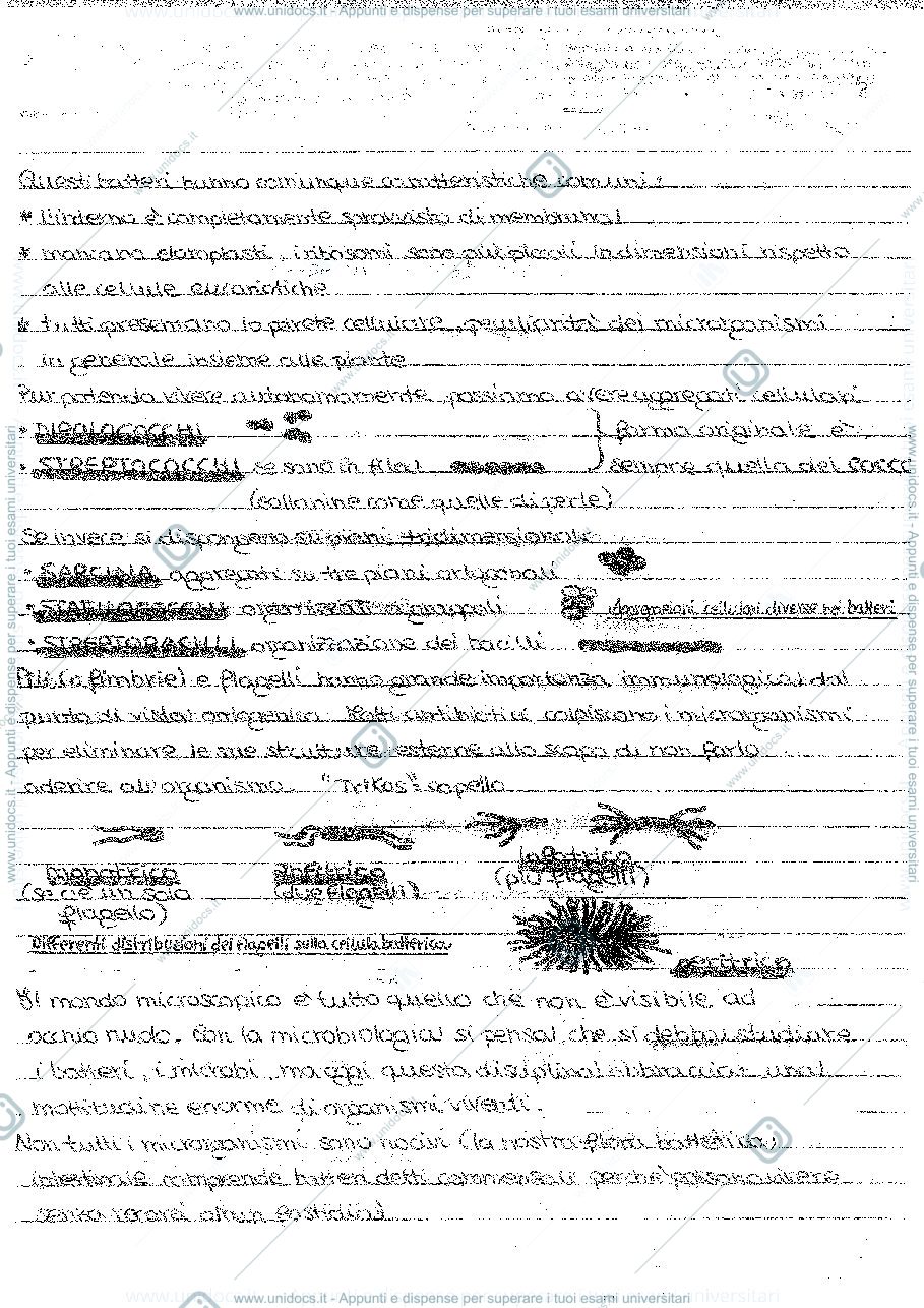 Anteprima pagina 5 — microbiologia 