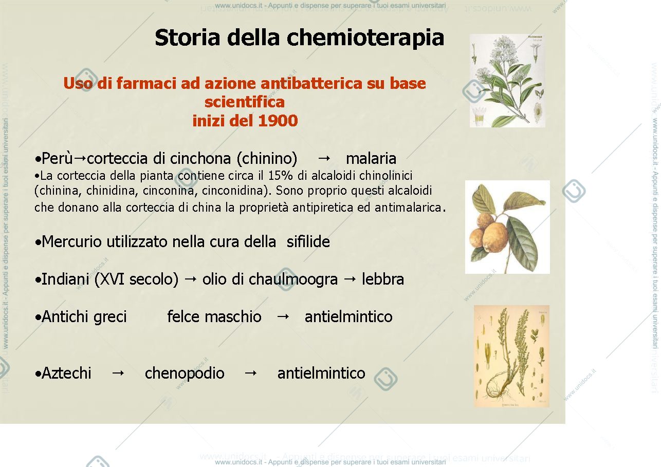 Anteprima pagina 2 — antibiotici 1