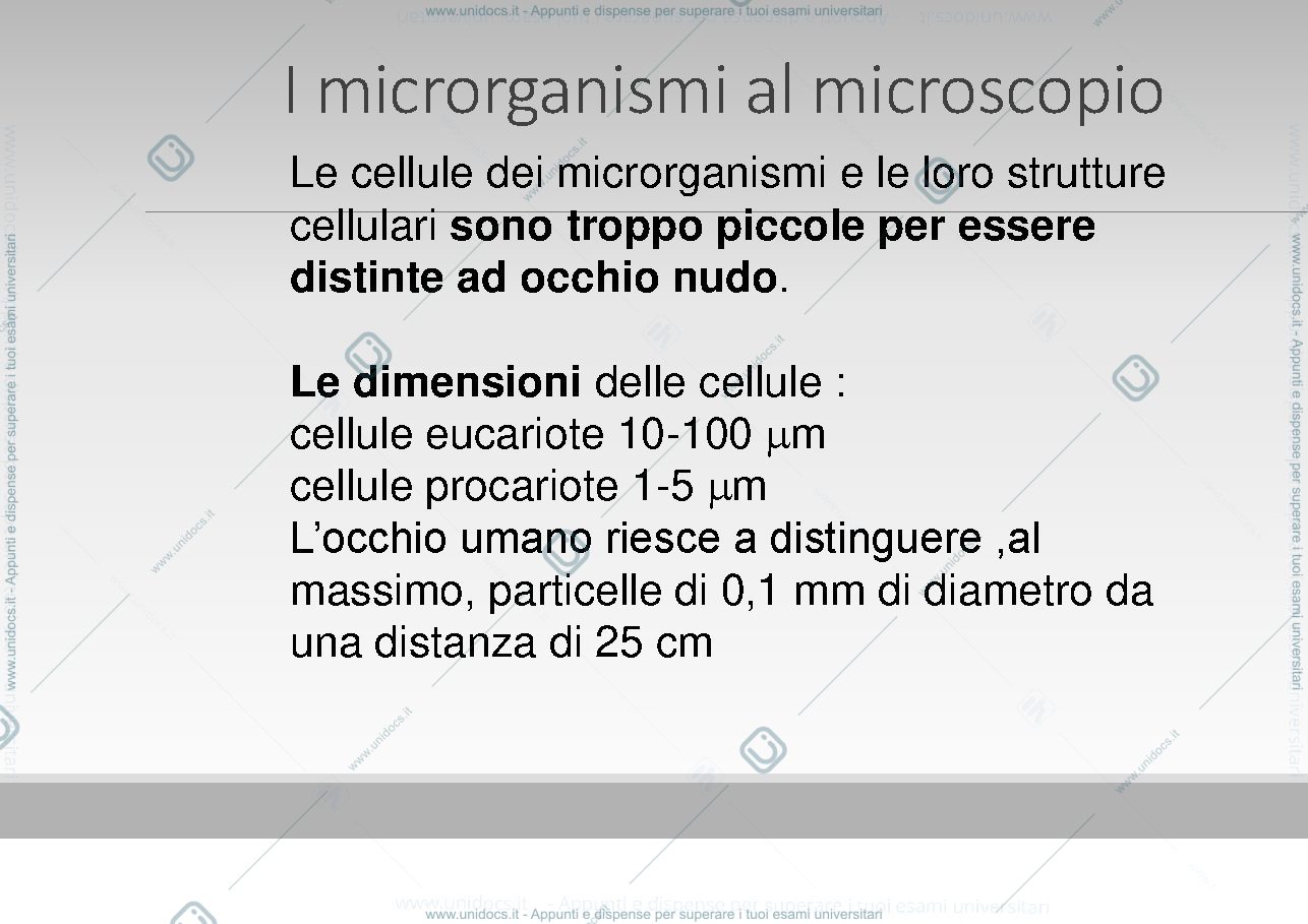 Anteprima pagina 2 — Tecniche microscopiche 