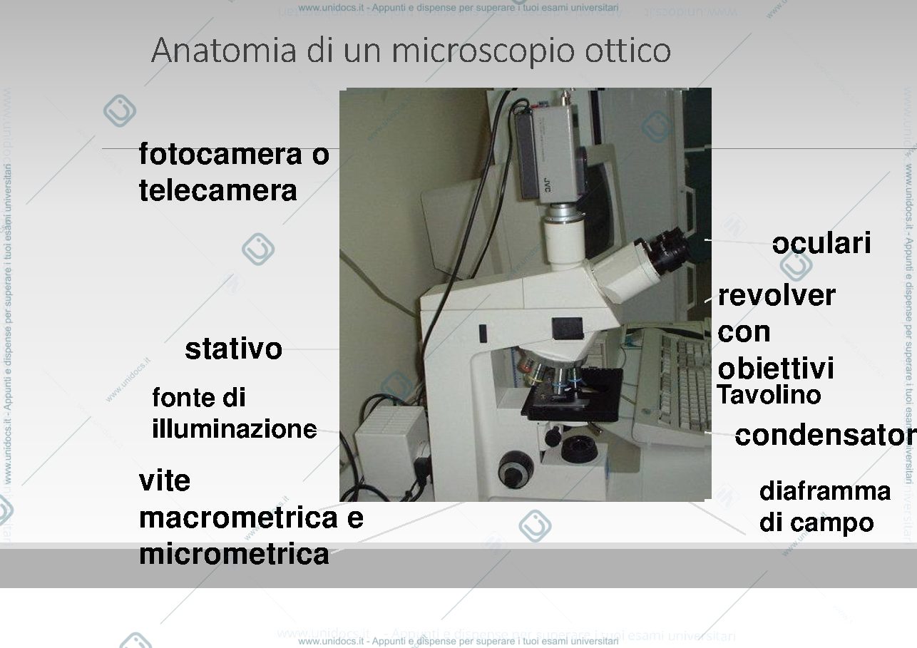 Anteprima pagina 3 — Tecniche microscopiche 