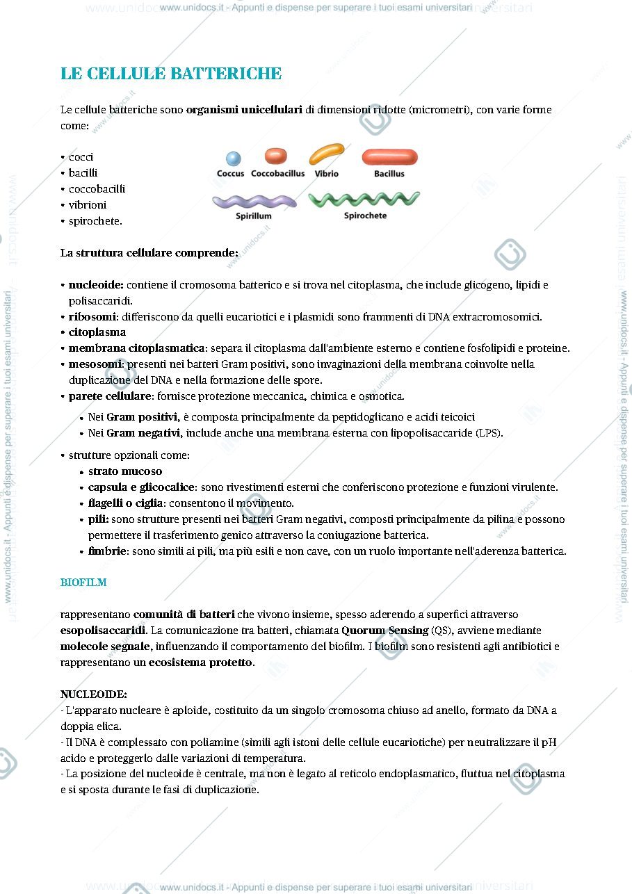 Anteprima pagina 1 — Micro