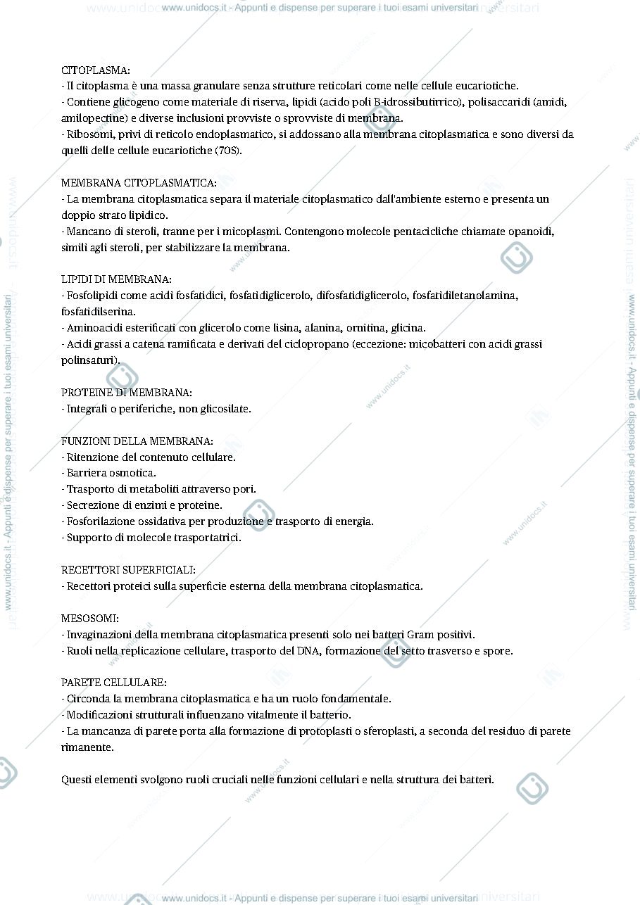 Anteprima pagina 2 — Micro