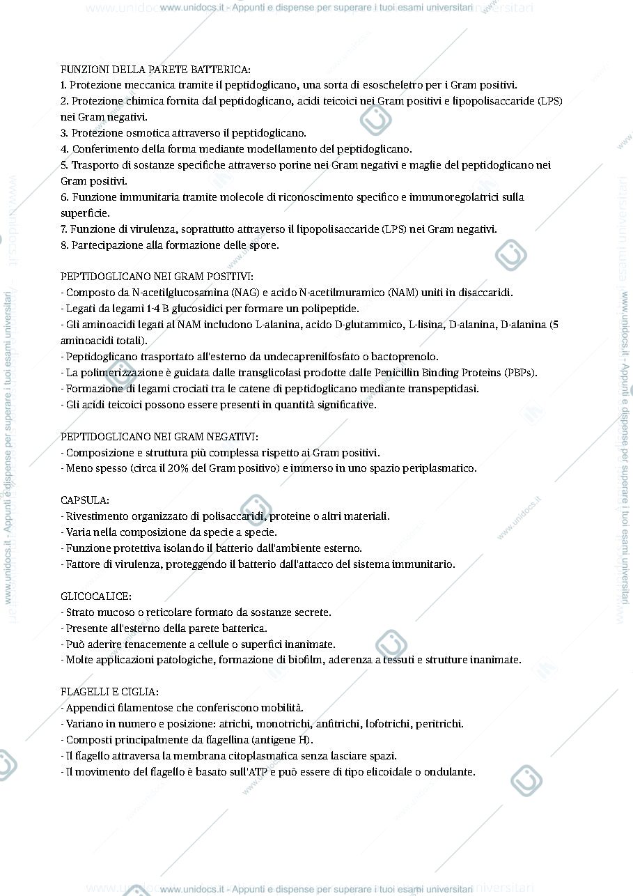 Anteprima pagina 3 — Micro