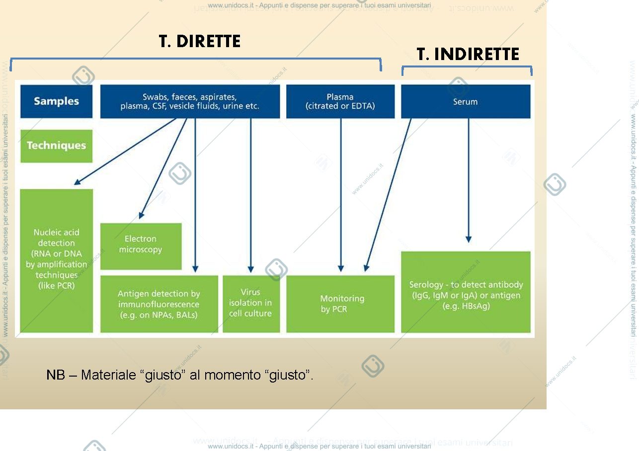 Anteprima pagina 3 — Diagnostica virale