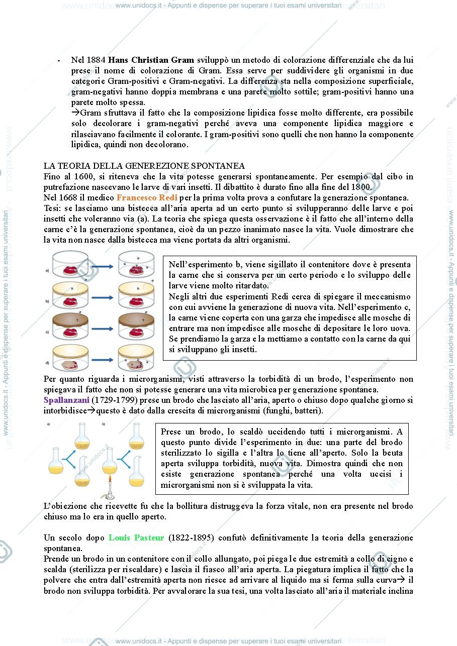Anteprima pagina 2 — microbiologia