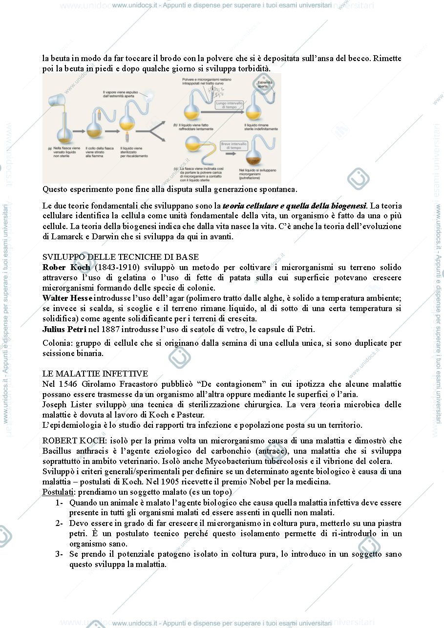 Anteprima pagina 3 — microbiologia