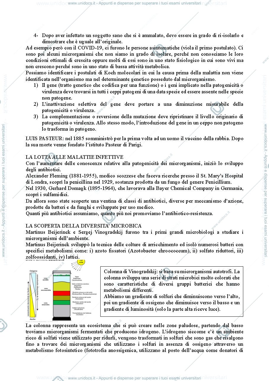 Anteprima pagina 4 — microbiologia