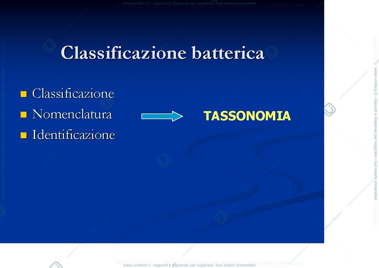 Anteprima pagina 2 — batteriologia 1