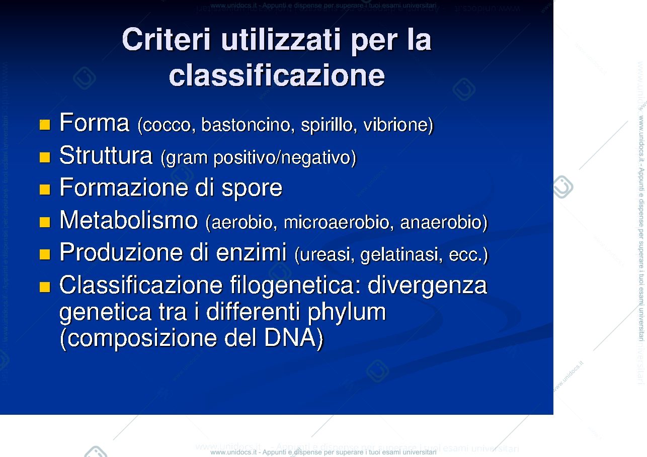Anteprima pagina 3 — batteriologia 1